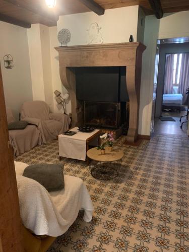 a living room with a fireplace and a couch at Le gîte du chateau dans le centre de schirmeck in Schirmeck