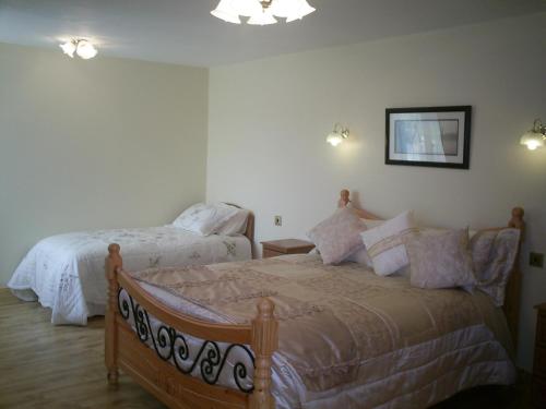 a bedroom with two beds and a chandelier at Derry House in Listowel