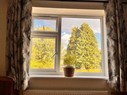 a window with a potted plant in a window sill at Luxurious double bedroom, ensuite with free Wifi. in Oxford