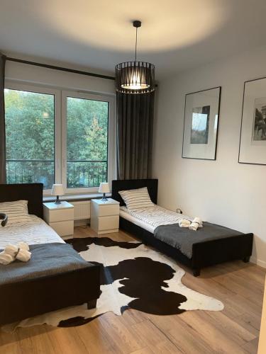 1 Schlafzimmer mit 2 Betten und einem großen Fenster in der Unterkunft Apartament Park Poezji in Gliwice