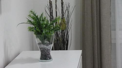 a vase with plants in it sitting on a table at Piso céntrico León 2 in León