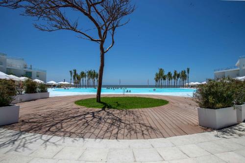 a tree in the middle of a beach at Estudio 573 Nuevo Vallarta, frente al mar, equipado y amueblado ! in Nuevo Vallarta