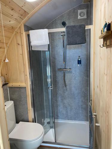 a bathroom with a shower and a toilet at Craigend Farm Holiday Pods - The Curly Coo in Dumfries