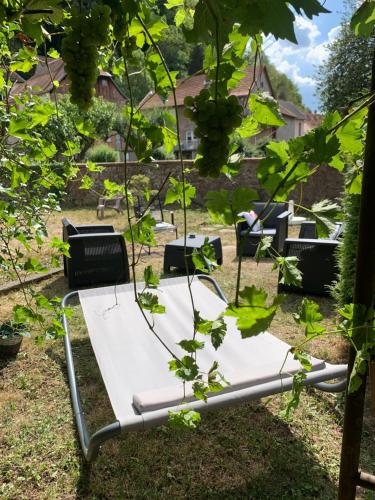 a hammock in a vineyard under a tree at Le gîte du chateau dans le centre de schirmeck in Schirmeck