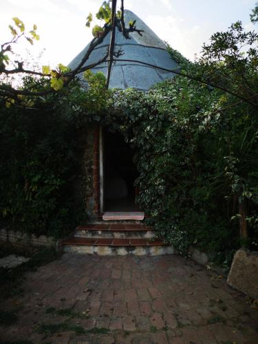 an entrance to a building with ivy growing around it at Pinnettu sardo casa di campagna in ecosistema insetti e animaletti simpatici in condivisione,Leggere attentamente Prima di prenotare in Oliena