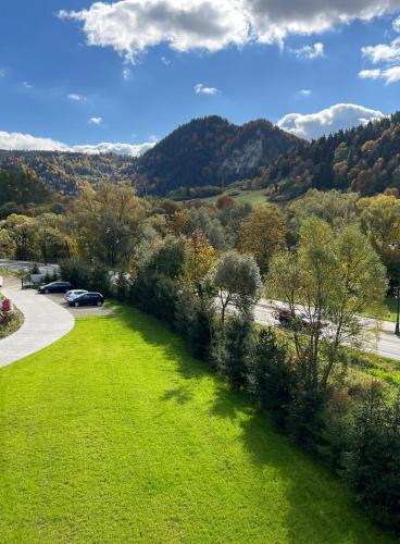a green lawn with trees and mountains in the background at Willa FOLK Pieniny in Szczawnica