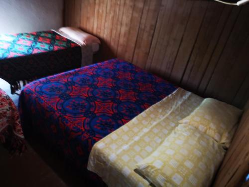 Gallery image of Pinnettu sardo casa di campagna in ecosistema insetti e animaletti simpatici in condivisione,Leggere attentamente Prima di prenotare in Oliena
