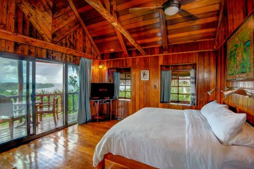 Palau Carolines Resort في كورور: غرفة نوم فيها سرير وتلفزيون