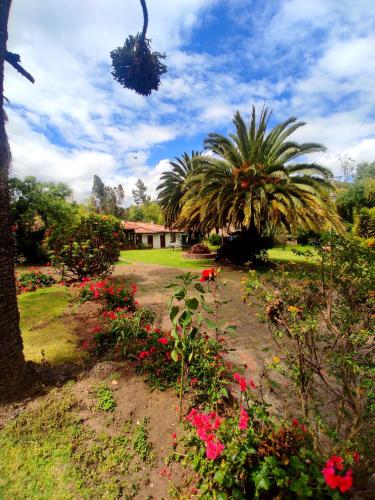 Taman di luar Finca San Pedro -Alojamiento Campestre y Reserva Natural-