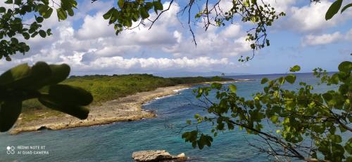 a view of a river from a tree branch at Kaz a Klemence Gite creole avec piscine et table dhotes a Anse Bertrand in Anse-Bertrand