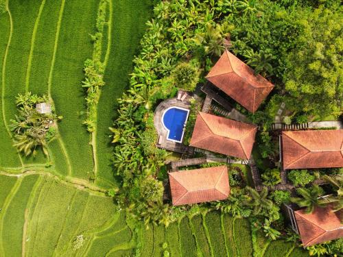 Barong Villas – Photos 2