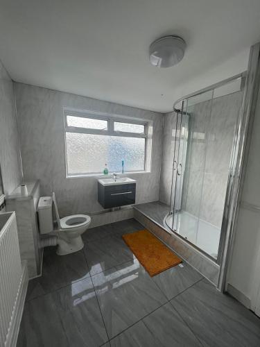 e bagno con servizi igienici, lavandino e doccia. di Cheerful Two Bedrooms Town house with free parking a Pembrokeshire
