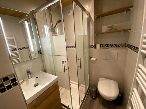 une salle de bain avec une douche, des toilettes et un lavabo dans l'établissement Studio cabine rénové avec balcon près des pistes et village à La Clusaz - FR-1-459-194, à La Clusaz