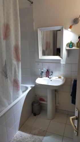 bagno con lavandino e vasca con specchio di Chambre hôte Residence sous les pins a Cassis