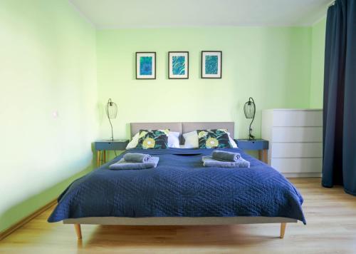 杜什尼基茲德魯伊的住宿－Apartament Rosiczka，一间卧室配有一张带蓝色棉被的床