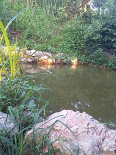 Landskap semula jadi dekat dengan homestay
