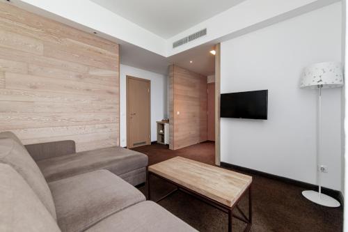 TV a/nebo společenská místnost v ubytování SPA VILNIUS Druskininkai