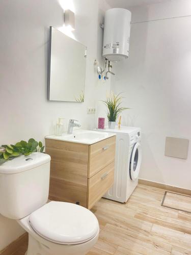 a bathroom with a toilet and a sink and a washing machine at Casita Estrella con entrada independiente y patio in La Estrella
