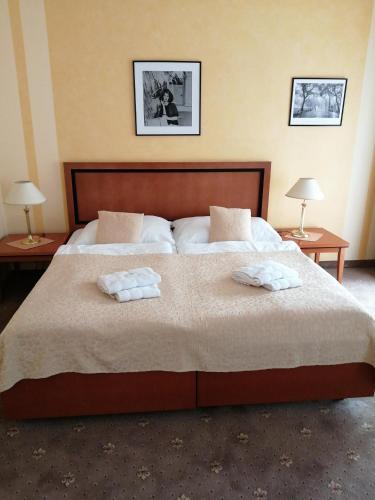 Katil atau katil-katil dalam bilik di Apartmany Cesky Dvur