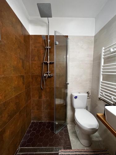 Un baño con ducha, inodoro y lavabo. en Paradise Resort, en Miercurea-Ciuc