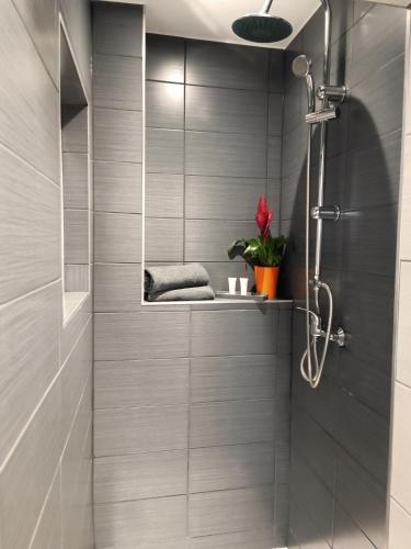 - une cabine de douche dans une salle de bains revêtue de carrelage gris dans l'établissement Le Studio D'Edouard, à Urschenheim