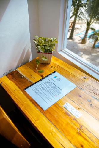 a potted plant sitting on a wooden table next to a window at DiveGurus Boracay Beach Resort in Boracay