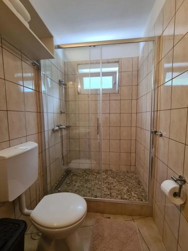a bathroom with a shower and a toilet at Apartments Lana - 30 m from the sea in Seline
