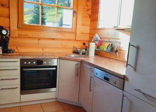 een keuken met een fornuis en een wastafel bij Eisenmannhof in Gengenbach