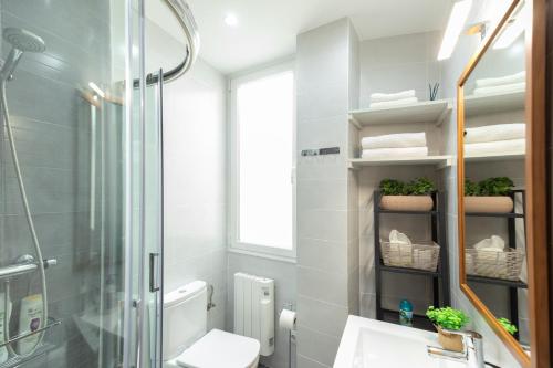 a bathroom with a shower and a toilet and a sink at Ático Teatro Romano - Terraza - Ascensor in Zaragoza