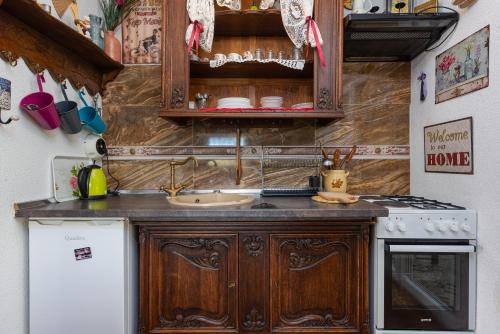 a kitchen with a sink and a stove at Magnus Lupus in Korenica