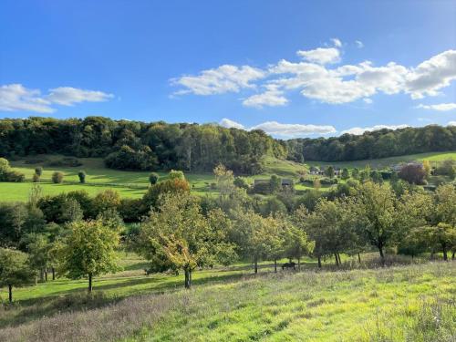 - une vue sur un champ planté d'arbres et d'herbe dans l'établissement Le Gîte Marguerite - Calvados : vue panoramique sur la Normandie, à Hermival-les-Vaux