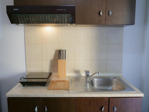 un bancone della cucina con lavello e forno a microonde di Zeus Throne II a Afionas