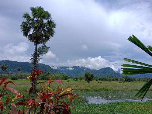 Φωτογραφία από το άλμπουμ του 4 seasons mini house σε Nakhon Si Thammarat