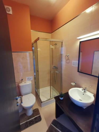 a bathroom with a shower and a toilet and a sink at Belvedere Resort Moieciu in Moieciu de Jos