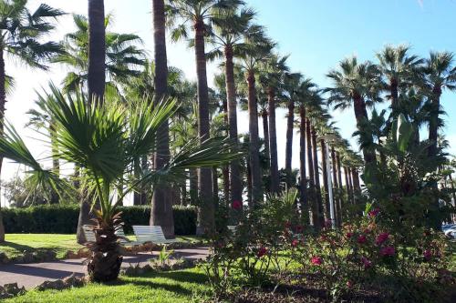 Bright apartment - Cannes, la Croisette