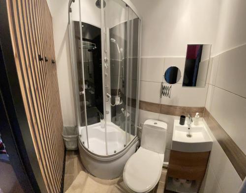 a bathroom with a shower and a toilet and a sink at Apartamenty Konopnicka in Bydgoszcz