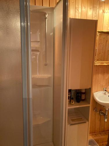 a glass shower in a bathroom with a sink at Ferienhaus mit Sauna, Wintergarten und Terrasse im schönen Hochtaunus in Glashütten