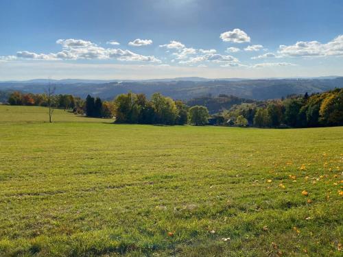 a field of green grass with trees in the background at Apartmán HYGGE Bratrouchov in Jablonec nad Jizerou