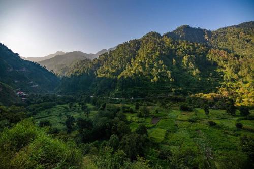 an aerial view of a valley in a mountain at StayVista at Spirits Unplugged with Outdoor Pool - Karyali in Nāldera