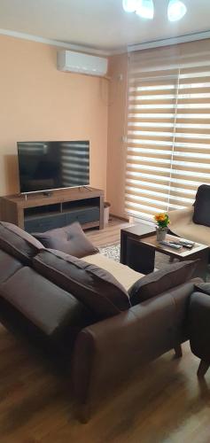a living room with a couch and a flat screen tv at Apartman Banja Koviljaca in Banja Koviljača