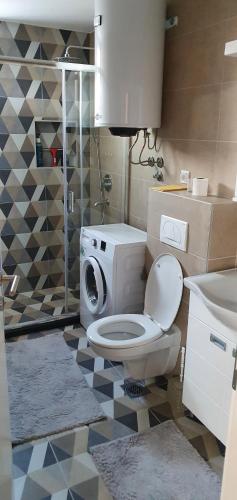 La salle de bains est pourvue de toilettes et d'un lavabo. dans l'établissement Apartman Banja Koviljaca, à Banja Koviljača