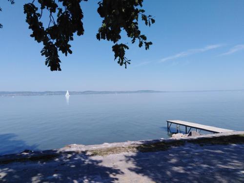 a dock on a lake with a boat in the water at Hotel Magistern Konferencia és WellnessHotel in Siófok
