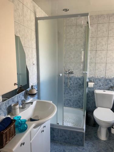 y baño con lavabo, aseo y ducha. en Apartament NAD CZEREŚNIĄ, en Brodnica