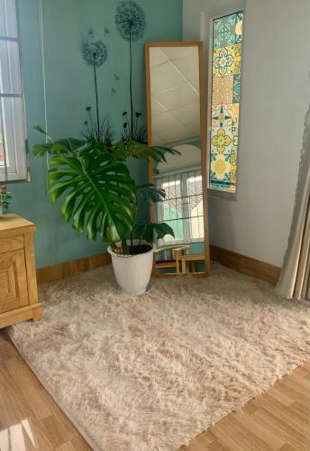 a potted plant in a room with a mirror at Mi Casa Homestay in Da Lat
