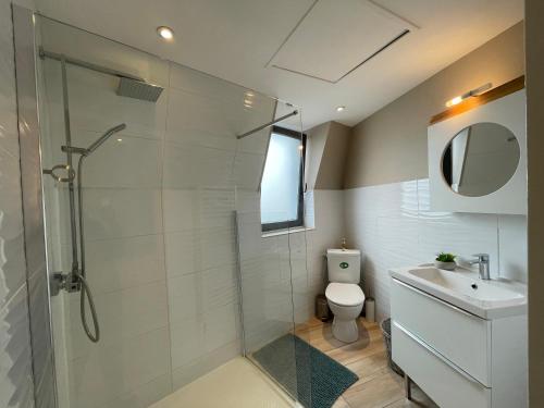 une salle de bain avec une douche, des toilettes et un lavabo dans l'établissement RDC 4 - Studio meublé centre ville de Montluçon, à Montluçon
