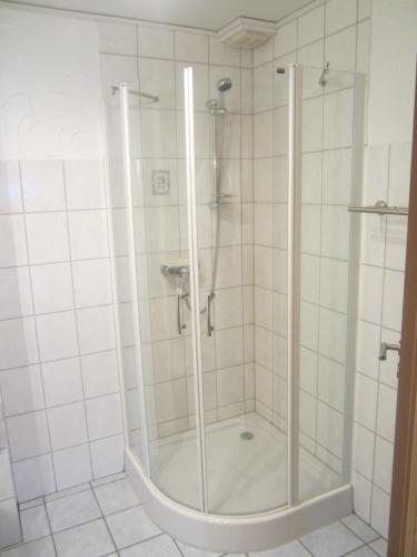 a shower with a glass door in a bathroom at Ferienwohnung Mause in Medebach