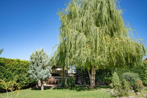 a weeping willow tree in the yard of a house at Angel House Greystone Villa Polydrossos in Polydrossos