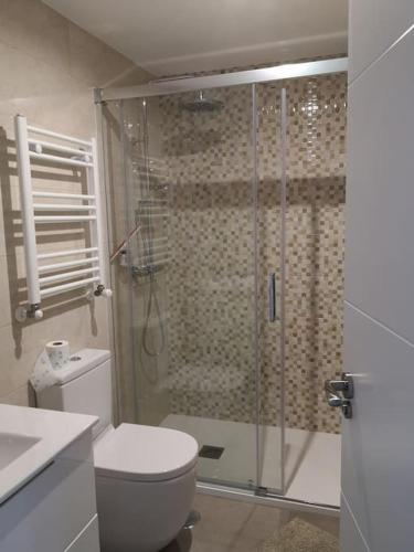 a bathroom with a toilet and a glass shower at Casa de Olga & Jorge in Luanco