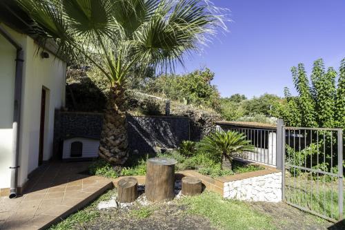 a palm tree next to a house with a fence at Villa Romeo - Etna gateway in Piedimonte Etneo
