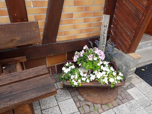 Zahrada ubytování Ferienwohnung am Kurpark